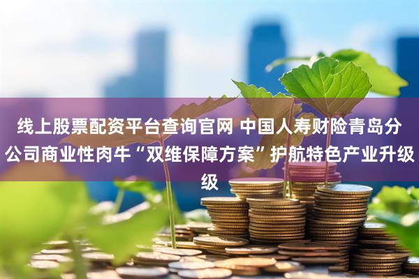 线上股票配资平台查询官网 中国人寿财险青岛分公司商业性肉牛“双维保障方案”护航特色产业升级