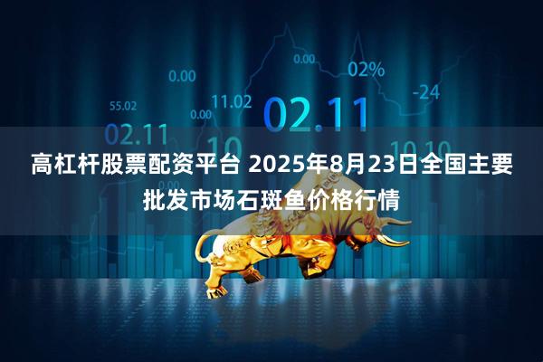 高杠杆股票配资平台 2025年8月23日全国主要批发市场石斑鱼价格行情